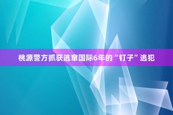 桃源警方抓获逃窜国际6年的“钉子”逃犯