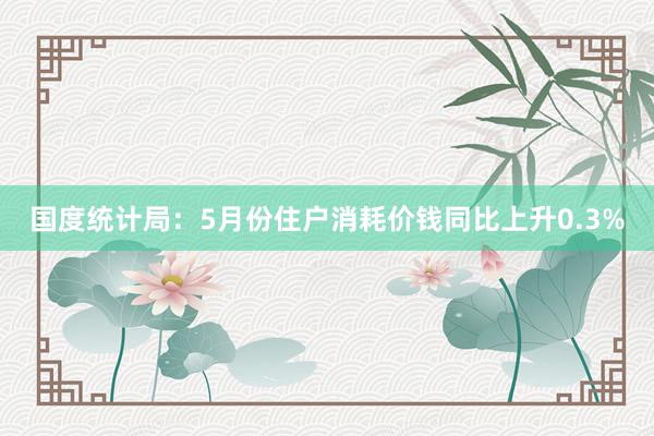 国度统计局：5月份住户消耗价钱同比上升0.3%