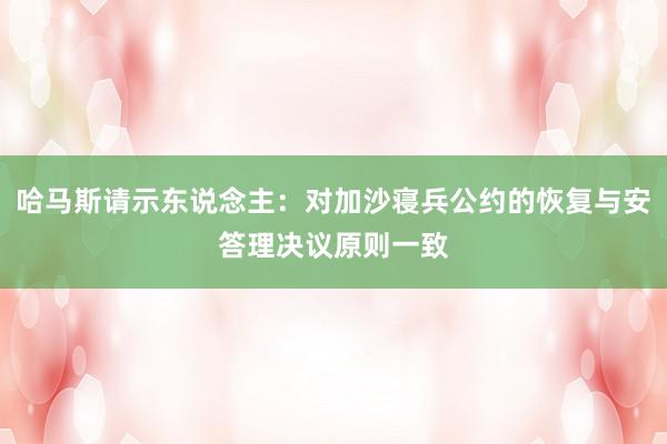 哈马斯请示东说念主：对加沙寝兵公约的恢复与安答理决议原则一致