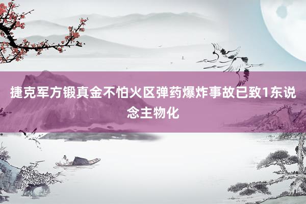 捷克军方锻真金不怕火区弹药爆炸事故已致1东说念主物化