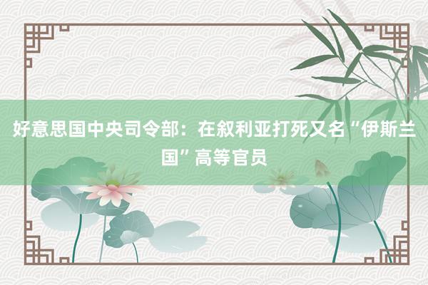 好意思国中央司令部：在叙利亚打死又名“伊斯兰国”高等官员