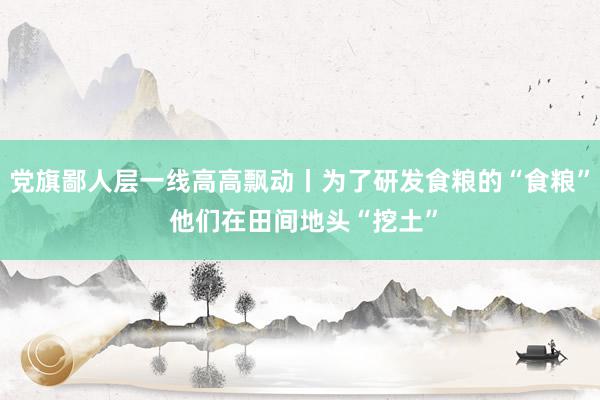 党旗鄙人层一线高高飘动丨为了研发食粮的“食粮” 他们在田间地头“挖土”