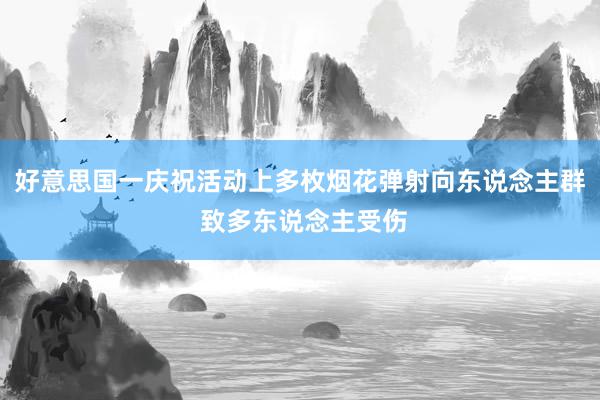 好意思国一庆祝活动上多枚烟花弹射向东说念主群 致多东说念主受伤