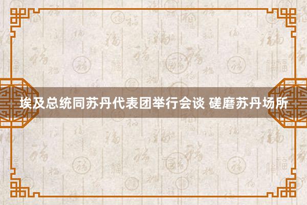 埃及总统同苏丹代表团举行会谈 磋磨苏丹场所