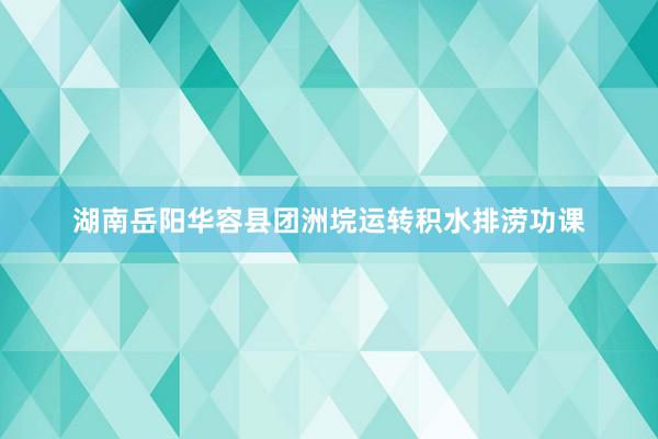 湖南岳阳华容县团洲垸运转积水排涝功课