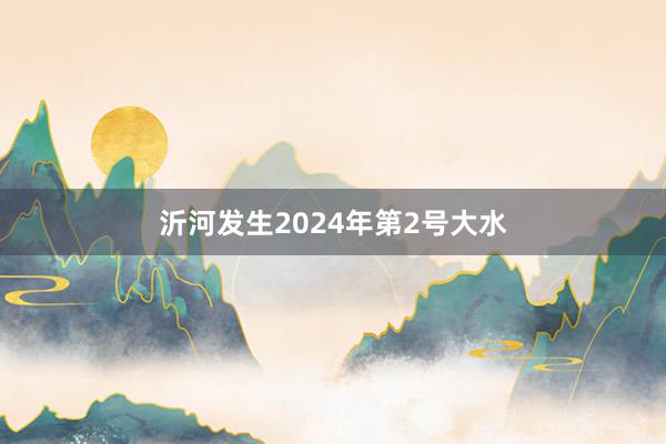 沂河发生2024年第2号大水