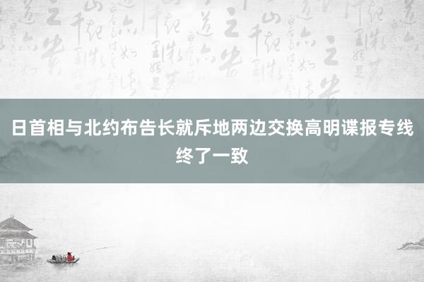 日首相与北约布告长就斥地两边交换高明谍报专线终了一致