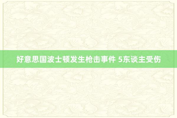 好意思国波士顿发生枪击事件 5东谈主受伤