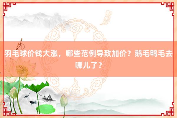 羽毛球价钱大涨，哪些范例导致加价？鹅毛鸭毛去哪儿了？