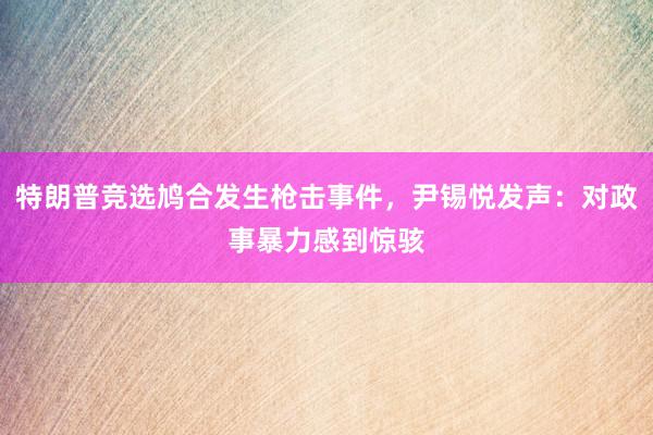 特朗普竞选鸠合发生枪击事件，尹锡悦发声：对政事暴力感到惊骇