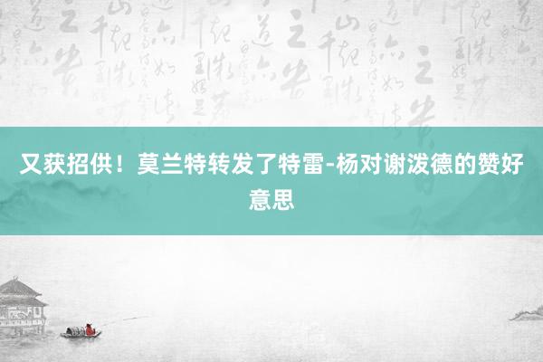 又获招供！莫兰特转发了特雷-杨对谢泼德的赞好意思