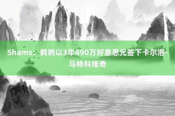 Shams：鹈鹕以3年490万好意思元签下卡尔洛-马特科维奇