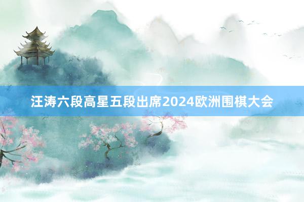 汪涛六段高星五段出席2024欧洲围棋大会