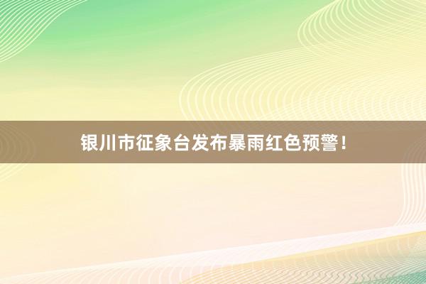 银川市征象台发布暴雨红色预警！