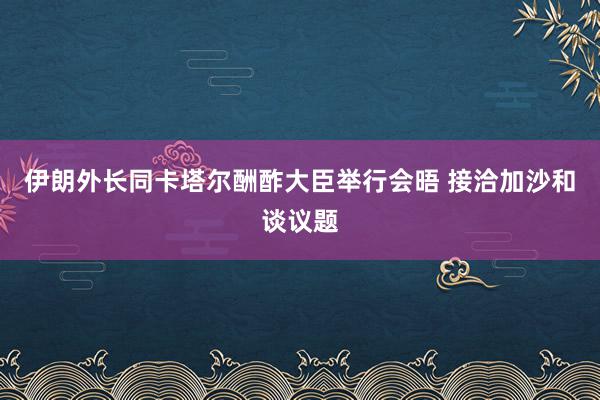 伊朗外长同卡塔尔酬酢大臣举行会晤 接洽加沙和谈议题