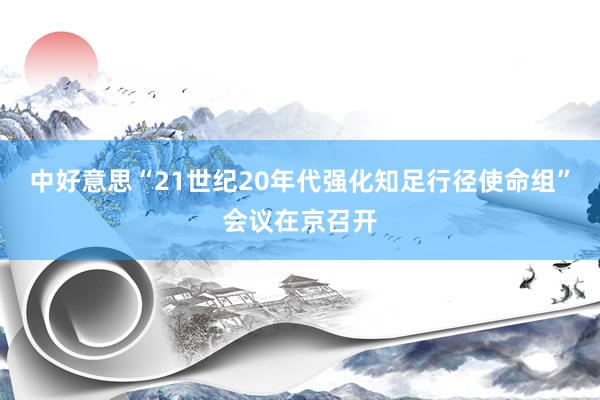 中好意思“21世纪20年代强化知足行径使命组”会议在京召开