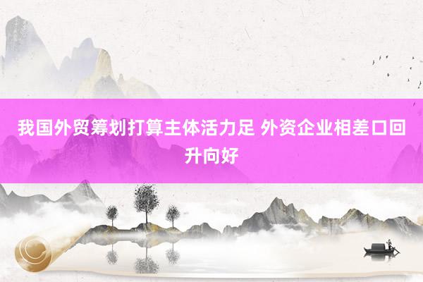 我国外贸筹划打算主体活力足 外资企业相差口回升向好