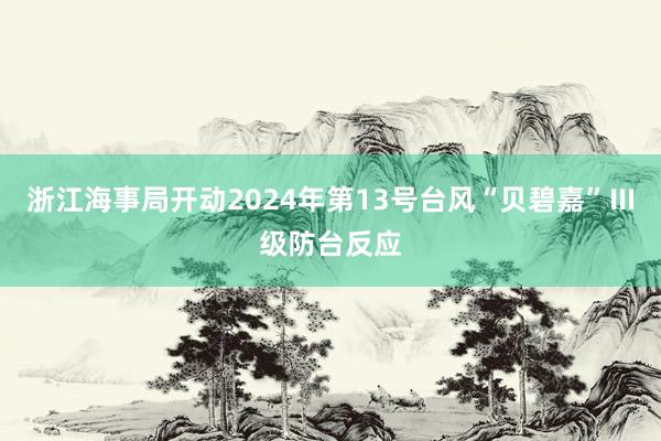 浙江海事局开动2024年第13号台风“贝碧嘉”Ⅲ级防台反应