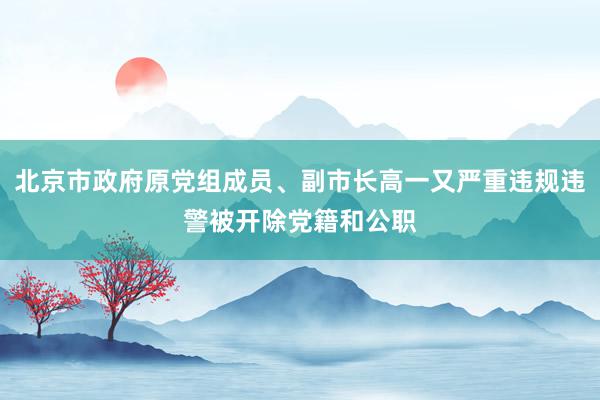 北京市政府原党组成员、副市长高一又严重违规违警被开除党籍和公职