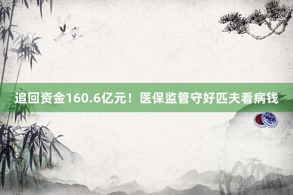 追回资金160.6亿元！医保监管守好匹夫看病钱