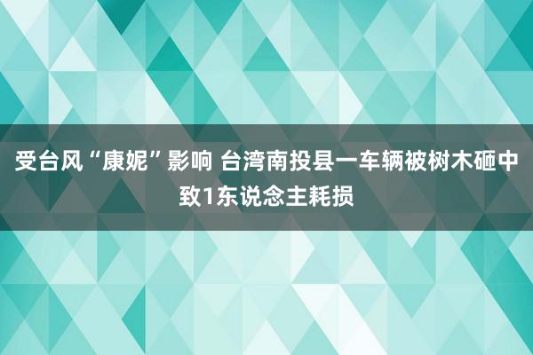 受台风“康妮”影响 台湾南投县一车辆被树木砸中致1东说念主耗损