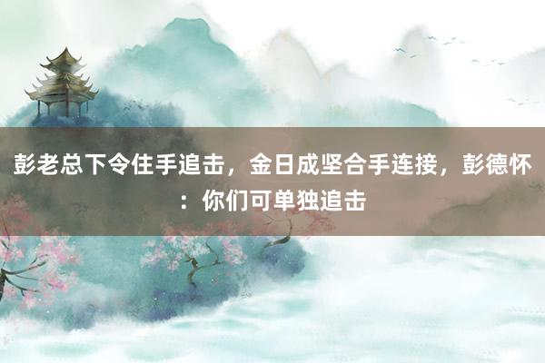 彭老总下令住手追击，金日成坚合手连接，彭德怀：你们可单独追击