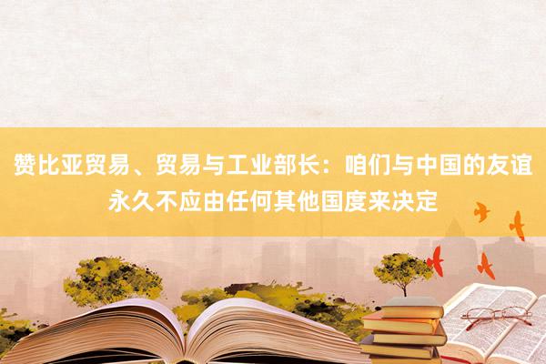 赞比亚贸易、贸易与工业部长：咱们与中国的友谊永久不应由任何其他国度来决定